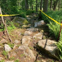 Rock garden on River View DH Trail in President, PA