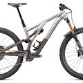 c120 Stumpjumper EVO Elite Alloy.jpg?VersionId=YNQeB27Jx5.