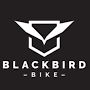 c90 blackbird bike logo 3 1604086869.jpg?VersionId=eNr1p FUnUd00ged