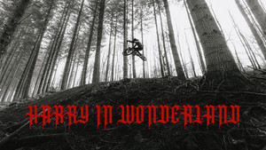 Harry in Wonderland - Thumbnail %28No Logo%29