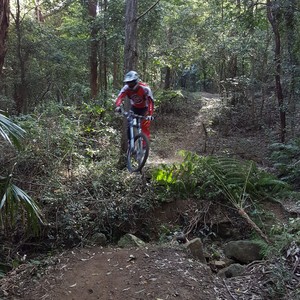 Creek Gap at Possums